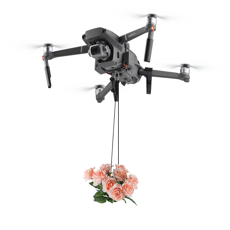 نظام إسقاط هوائي من BRDRC لـ D - مراجعة Drone Dji Rc 2 وسعره